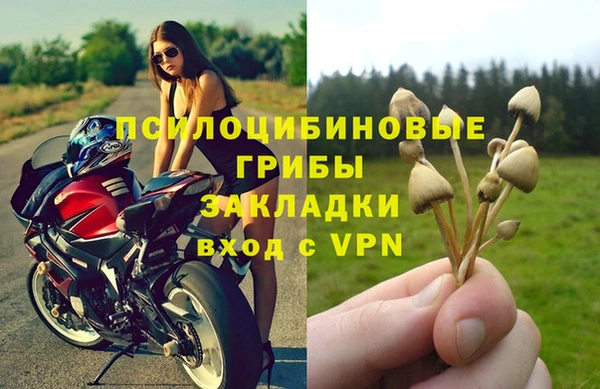2c-b Майский