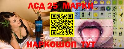 Альфа ПВП Заволжье