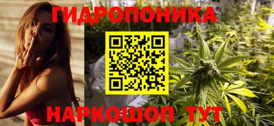 Альфа ПВП Заволжье