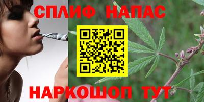 Альфа ПВП Заволжье