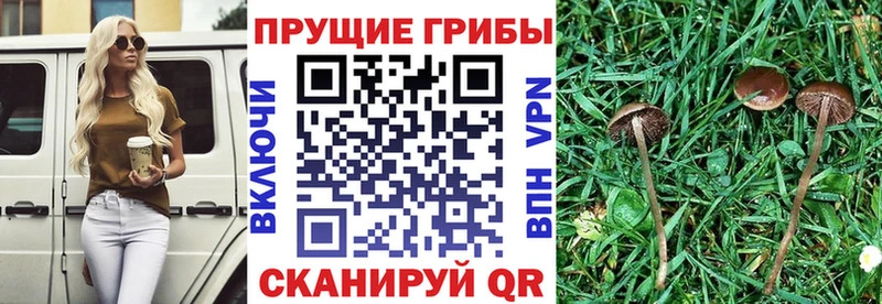 darknet состав  как найти закладки  Бирск  Галлюциногенные грибы Cubensis 