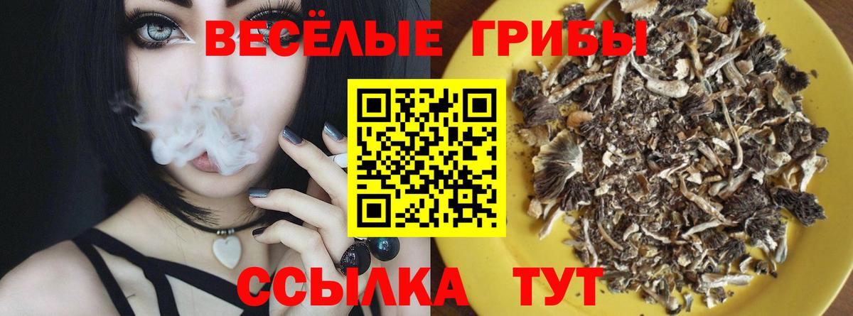 Бирск  Галлюциногенные грибы Magic Shrooms  Вход с VPN 